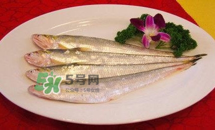 秋刀魚(yú)是刀魚(yú)嗎？秋刀魚(yú)和刀魚(yú)的區(qū)別
