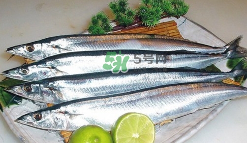 秋刀魚(yú)是刀魚(yú)嗎？秋刀魚(yú)和刀魚(yú)的區(qū)別