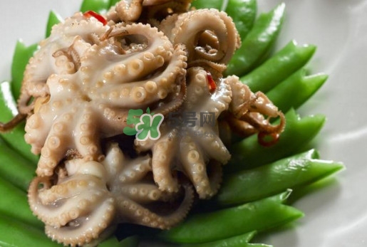 八爪魚的頭能吃嗎？八爪魚的頭里面是什么