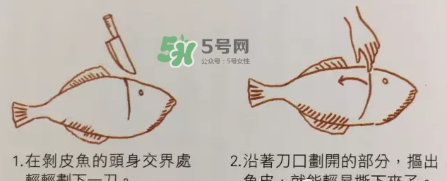 剝皮魚為什么要剝皮？剝皮魚的皮有毒嗎？
