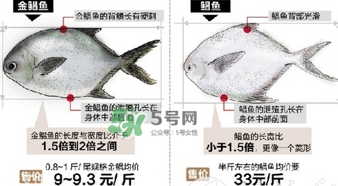 金鯧魚是海魚嗎？金鯧魚的刺多嗎？