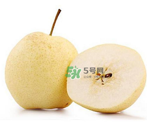 貢梨是雪梨嗎？貢梨和雪梨的區(qū)別