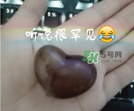 心形葡萄能吃嗎？心形葡萄和普通葡萄的區(qū)別