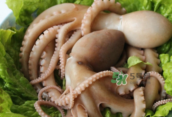 八爪魚的頭能吃嗎？八爪魚的頭里面是什么