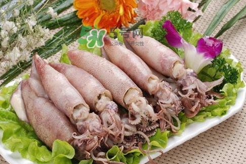 筆管魚怎么做好吃？筆管魚有什么營養(yǎng)