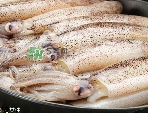 海兔子是什么？海兔子是墨魚嗎