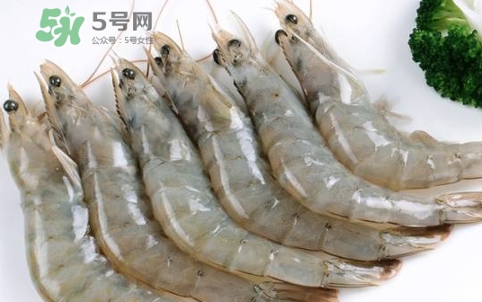 厄瓜多爾蝦是海蝦嗎？厄瓜多爾蝦好吃嗎？