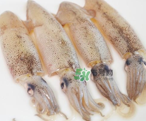 筆管魚是什么魚？筆管魚怎么吃