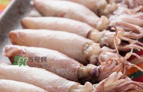 海兔子是小魷魚嗎？海兔子和魷魚的區(qū)別