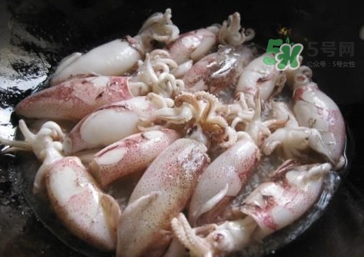 筆管魚是魷魚嗎？筆管魚和魷魚的區(qū)別
