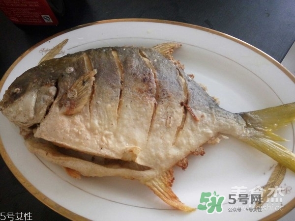 金鯧魚是海魚嗎？金鯧魚的刺多嗎？