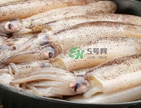 筆管魚是什么魚？筆管魚怎么吃