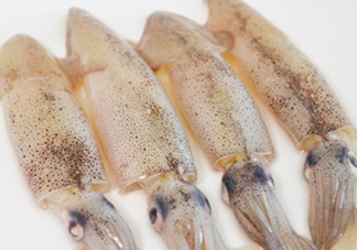 筆管魚是什么魚？筆管魚怎么吃