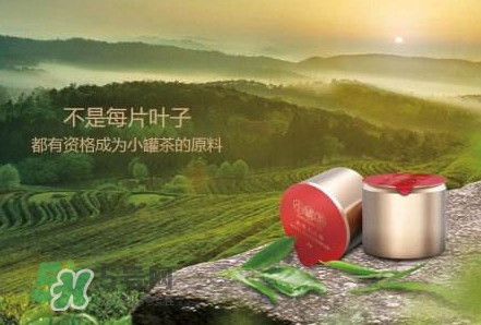 小罐茶怎么樣？小罐茶真的有那么好么