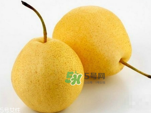 貢梨可以做冰糖雪梨嗎？貢梨可以燉川貝嗎？