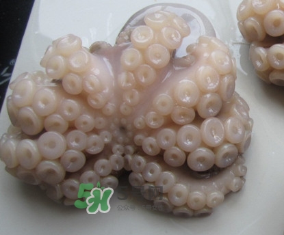 章魚有牙齒嗎？章魚天敵是什么