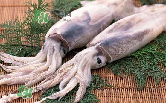 魷魚是海魚嗎？魷魚怎么炒好吃