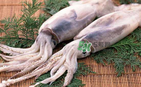 魷魚頭怎么切？魷魚怎么切花刀
