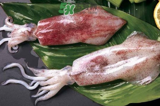 新鮮魷魚怎么處理？魷魚怎么清洗？
