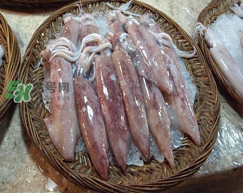 新鮮魷魚(yú)怎么保存？魷魚(yú)可以冷凍嗎