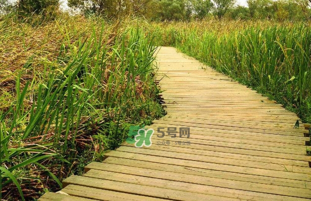 心碎綜合癥是抑郁癥嗎？心碎綜合癥怎么治療