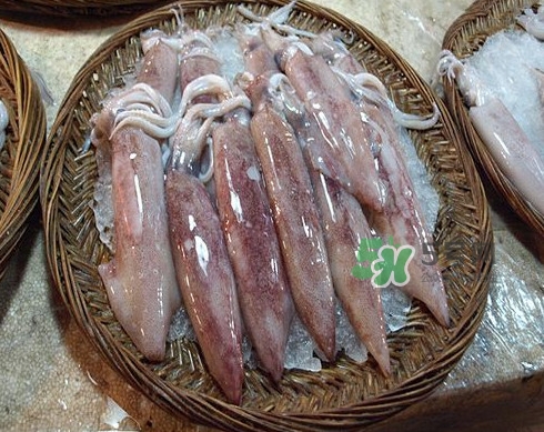 新鮮魷魚怎么處理？魷魚怎么清洗？