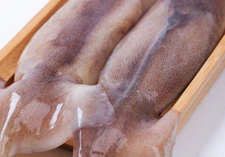 新鮮魷魚(yú)怎么保存？魷魚(yú)可以冷凍嗎