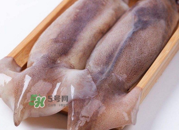 新鮮魷魚(yú)怎么保存？魷魚(yú)可以冷凍嗎