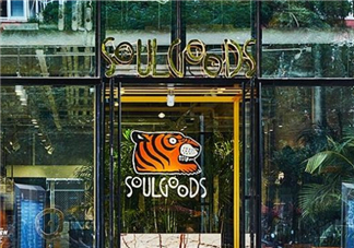 soulgoods是什么牌子？soulgoods貴嗎？