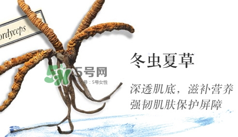 菌菇水是哪個(gè)國(guó)家的？悅木之源菌菇水是日本的嗎