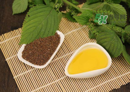 紫蘇水可以天天用嗎？紫蘇水的功效與作用