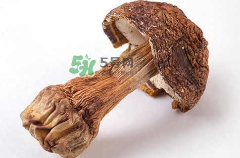 產(chǎn)婦能吃松茸嗎？哺乳期可以吃松茸嗎