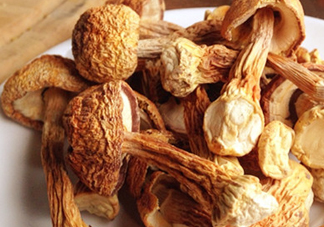 干松茸怎么清洗？干松茸如何辨別真?zhèn)?><p><strong>干松茸怎么清洗？干松茸如何辨別真?zhèn)?/strong></p></a></li> <li><a href=