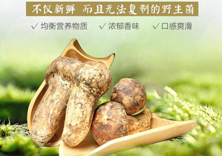 新鮮松茸怎么挑選？干松茸如何挑選