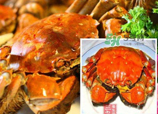 紅印蟹怎么回事？紅印蟹有什么不同？