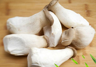 杏鮑菇是發(fā)物嗎？杏鮑菇怎么切好看