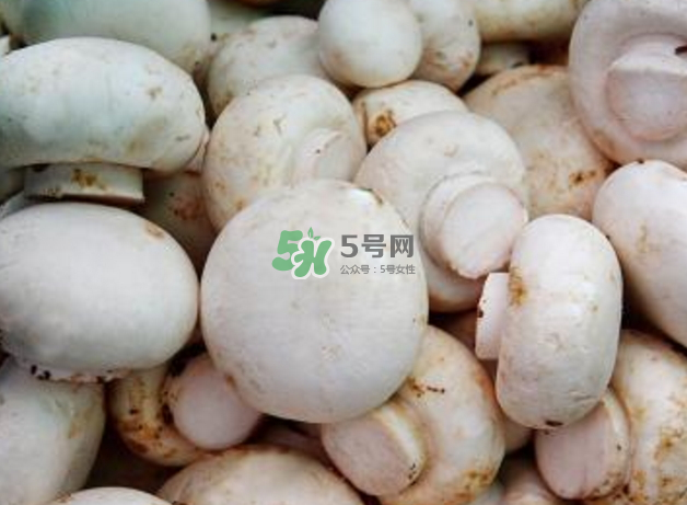 蘑菇變黑了還能吃嗎？蘑菇怎么保存？