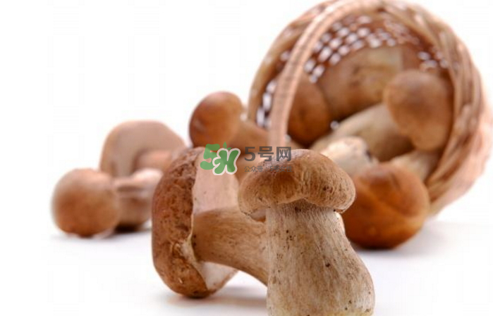 蘑菇能放冰箱嗎？蘑菇能放冰箱多長(zhǎng)時(shí)間？