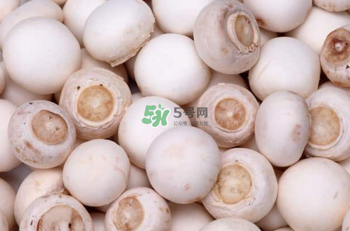 蘑菇能放冰箱嗎？蘑菇能放冰箱多長(zhǎng)時(shí)間？