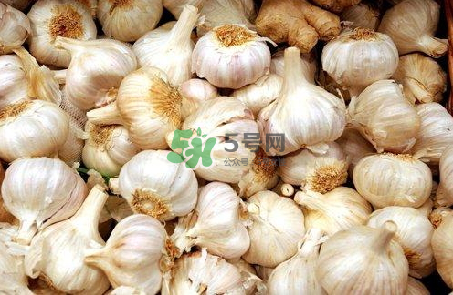 壽光大蒜有毒嗎？壽光毒大蔥事件