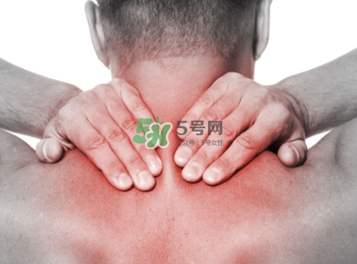 碧緹福護(hù)頸儀多少錢？碧緹福護(hù)頸儀價(jià)格