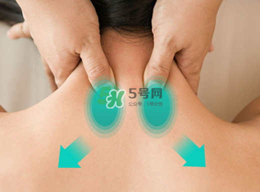 碧緹福護(hù)頸儀多少錢？碧緹福護(hù)頸儀價(jià)格
