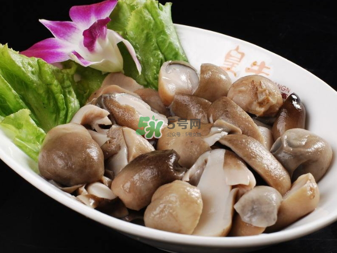 草菇孕婦能吃嗎？草菇要煮多久可以吃？