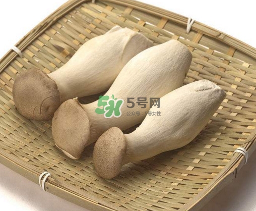 杏鮑菇有什么營養(yǎng)價(jià)值？杏鮑菇產(chǎn)地在哪里
