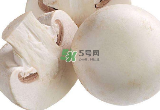 新鮮白蘑菇怎么做好吃？白蘑菇有什么好處