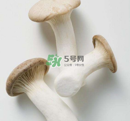 杏鮑菇用水焯嗎？杏鮑菇怎么做好吃