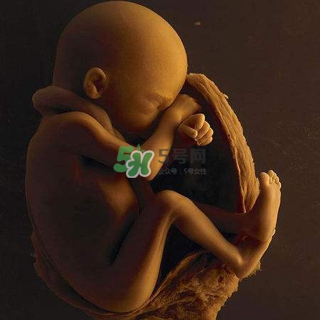 臍帶繞頸是什么意思？臍帶繞頸兩周怎么糾正？