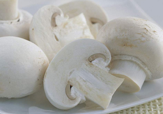 白蘑菇是什么蘑菇？白蘑菇有毒嗎