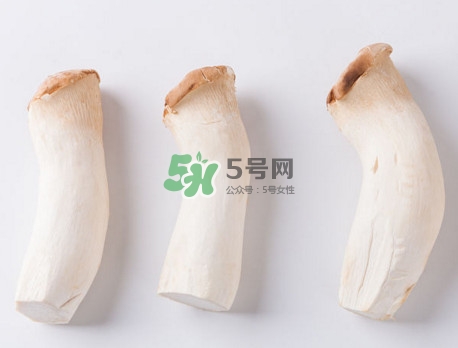 杏鮑菇有苦味還能吃嗎？杏鮑菇有酒味是壞了嗎