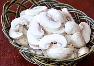 口蘑是發(fā)物嗎？口蘑是白蘑菇嗎